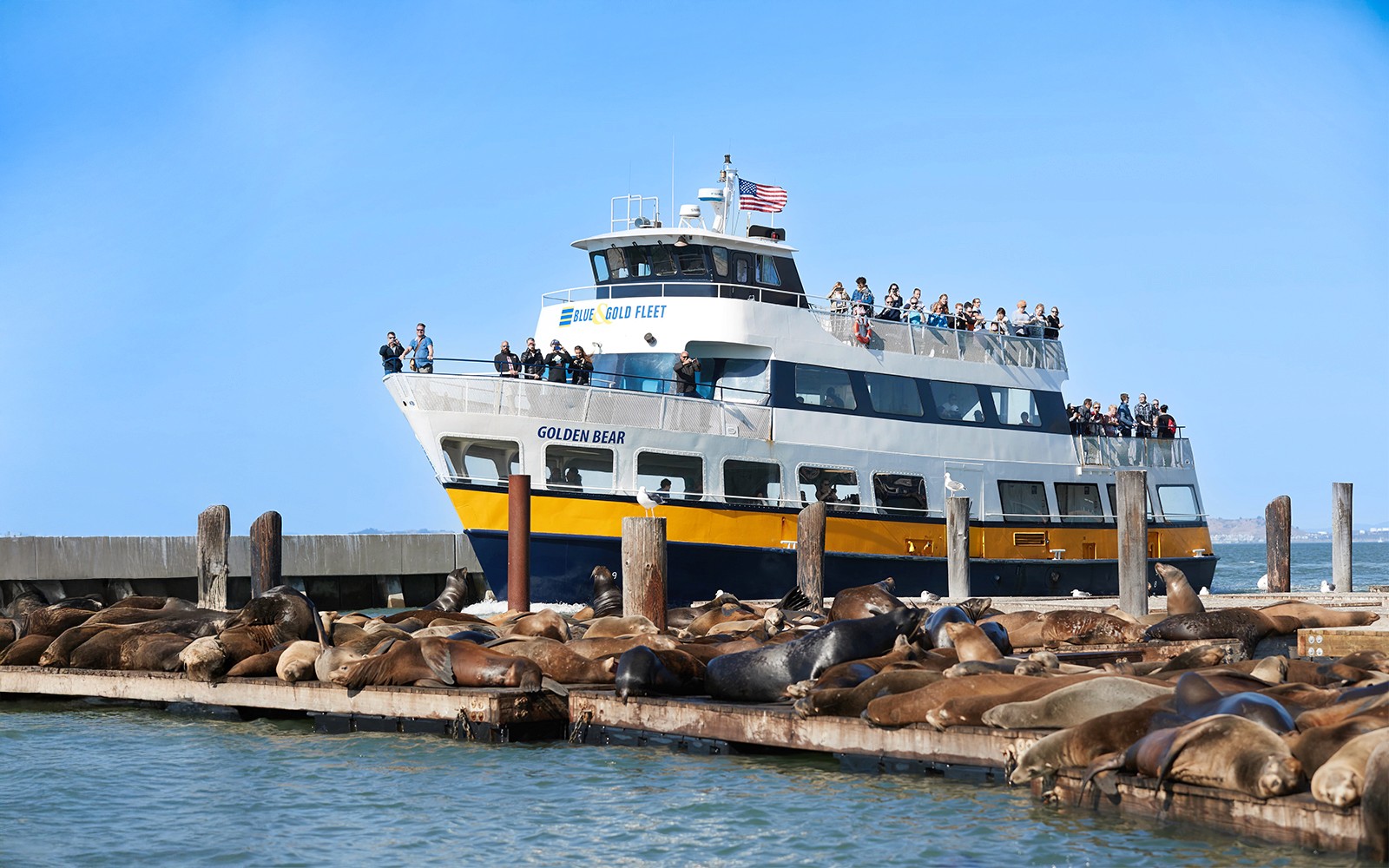 Escape from The Rock Cruise — gallery 5