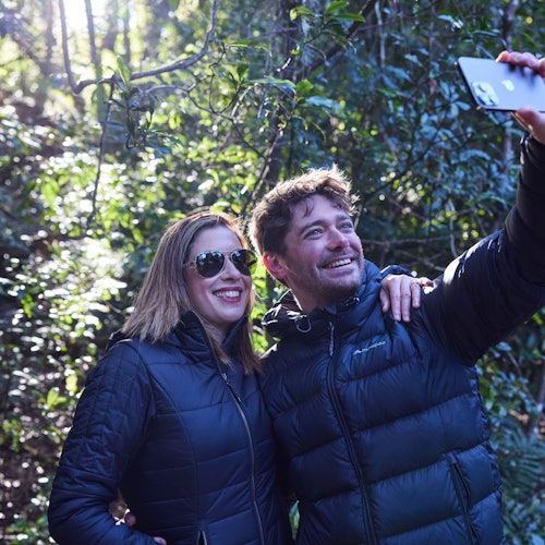 Blue Mountains & Sydney Zoo: Small-Group Guided Tour from Sydney — gallery 3
