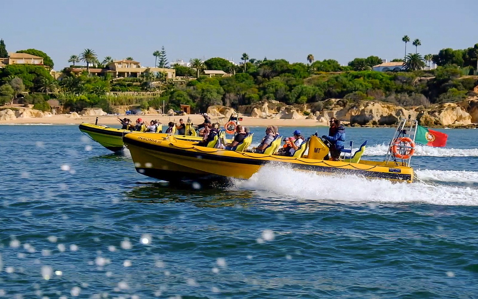 2 Hour Guided Dolphin Watching and Cave Cruise in Algarve — gallery 4