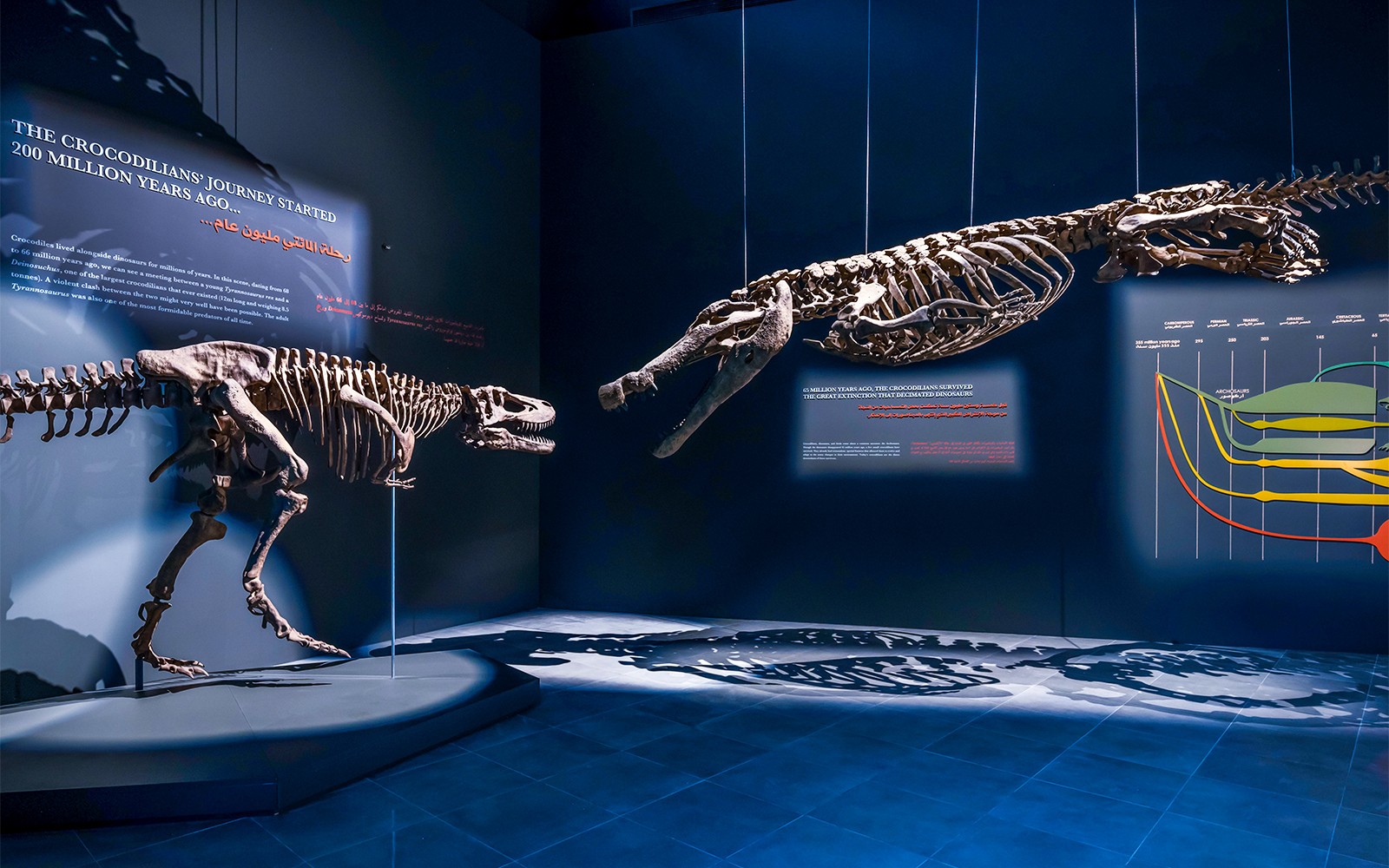 Dubai Crocodile Park Tickets — gallery 1
