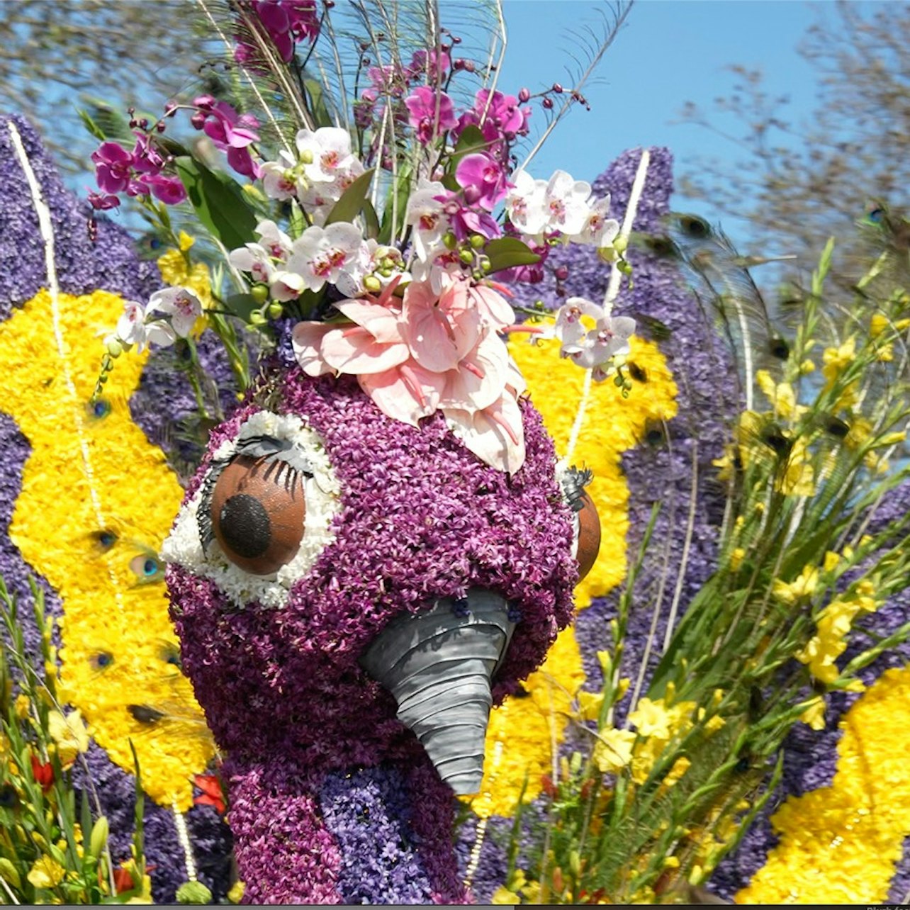 Keukenhof & Flower Parade: Day Tour from Amsterdam + Lunch — gallery 1