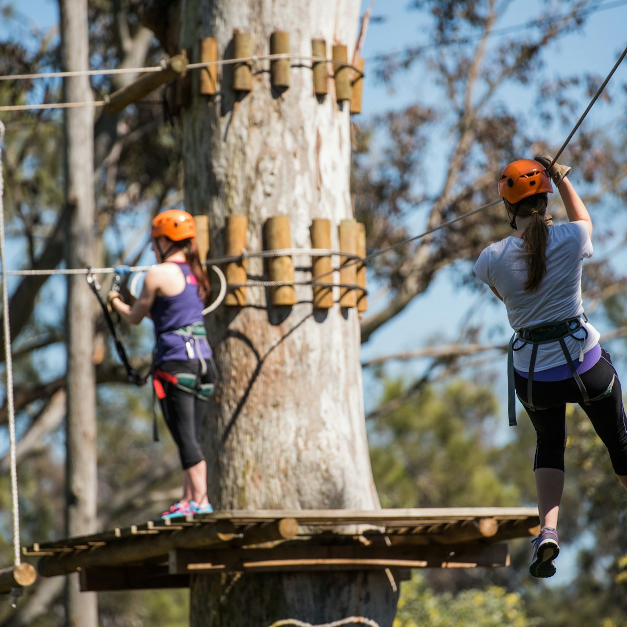 Treetops Adventure: Yeodene Park