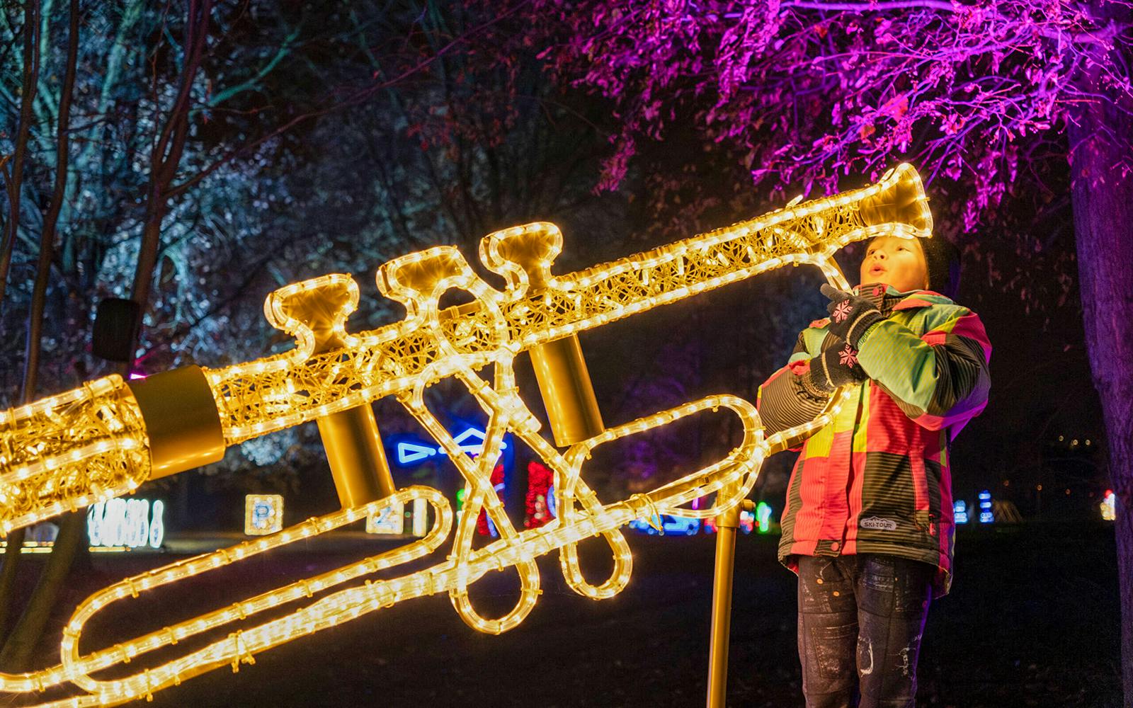 Budapest: Lumina Light Park Wonderworld Entry Tickets