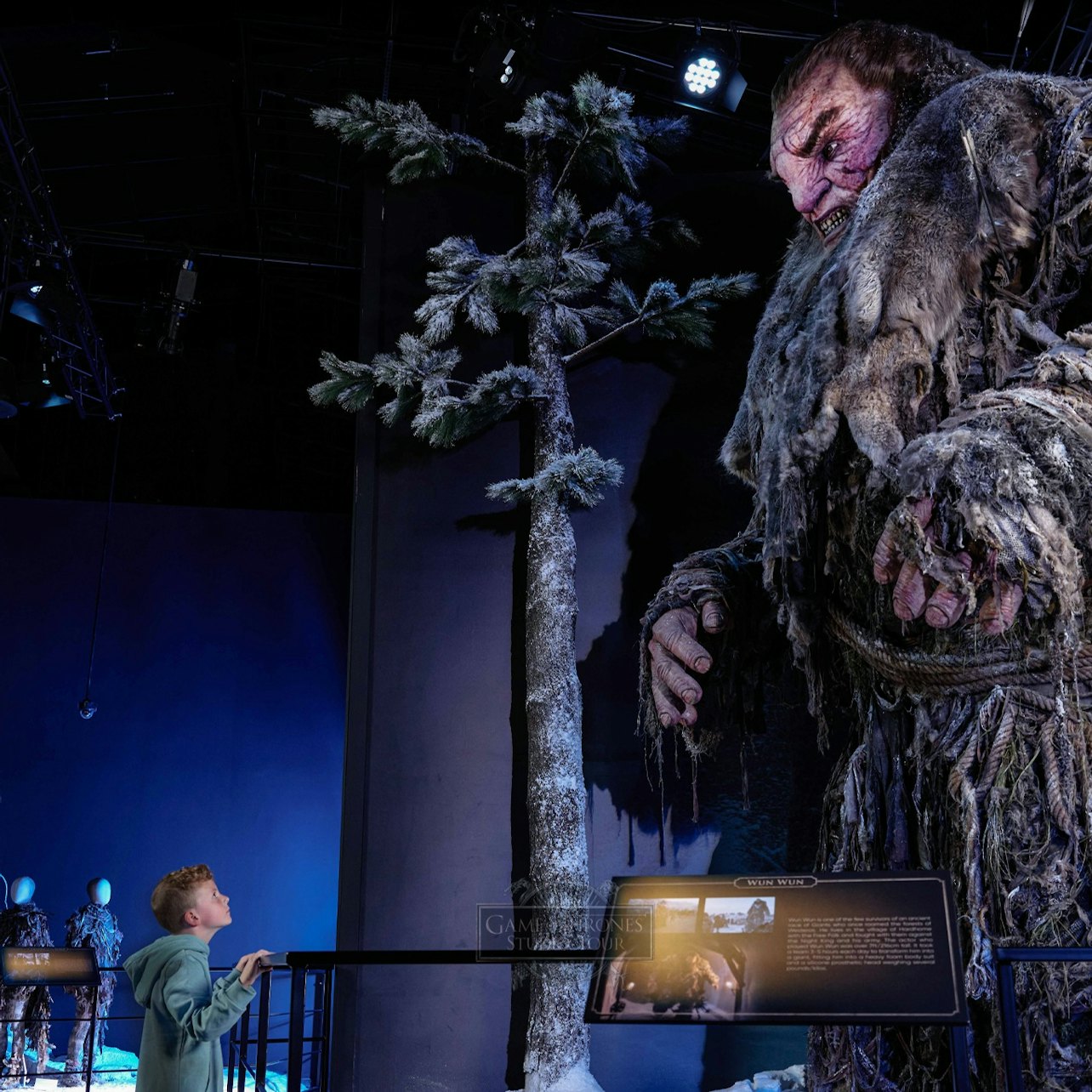 Game of Thrones Studio: Tour + Transfer from Dublin