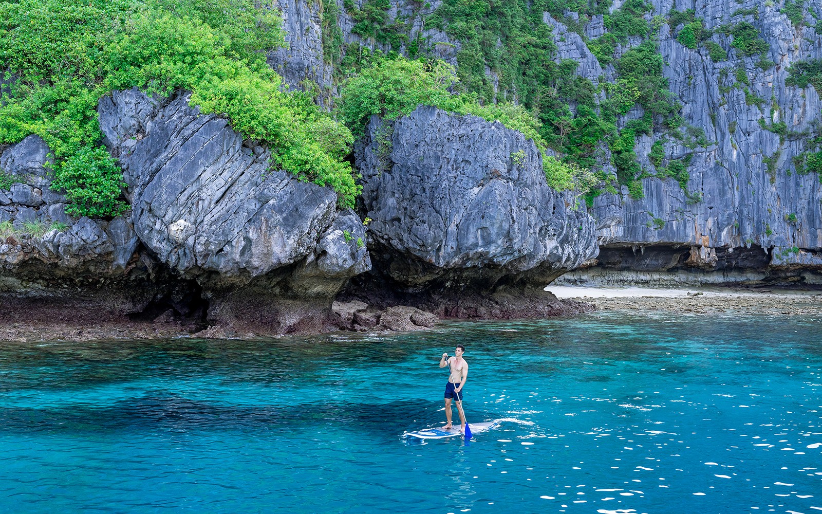 From Phuket: Phi Phi Island, Maya Bay & Bamboo Island Tour by Premium Catamaran — gallery 2