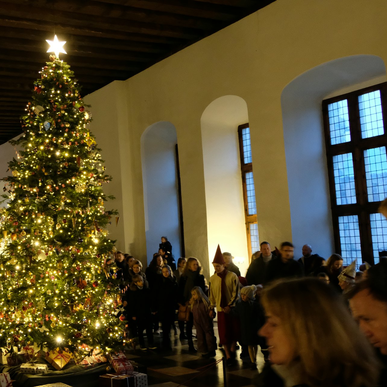 Kronborg Castle: Entry Ticket