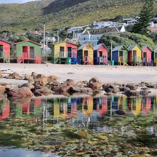 Cape Peninsula: Full-Day Guided Tour + Roundtrip Transfer