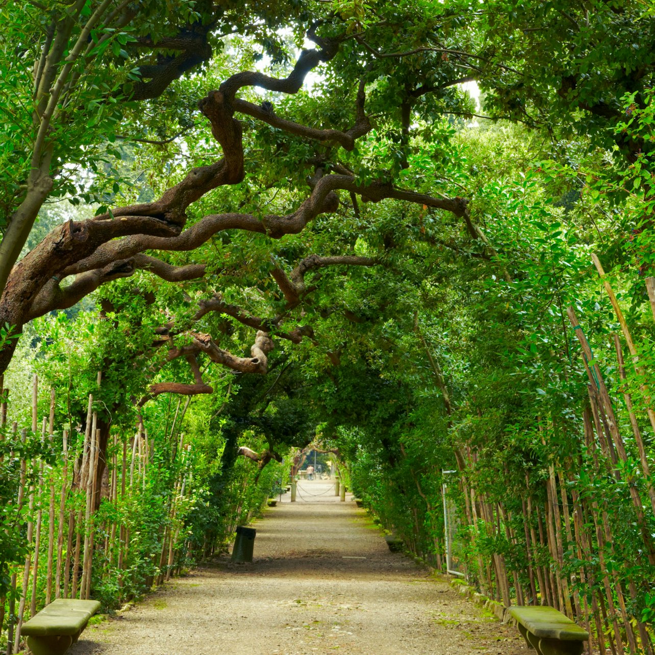 Palazzo Pitti & Boboli Gardens: Reserved Entrance + Florence City Audio Guide — gallery 2
