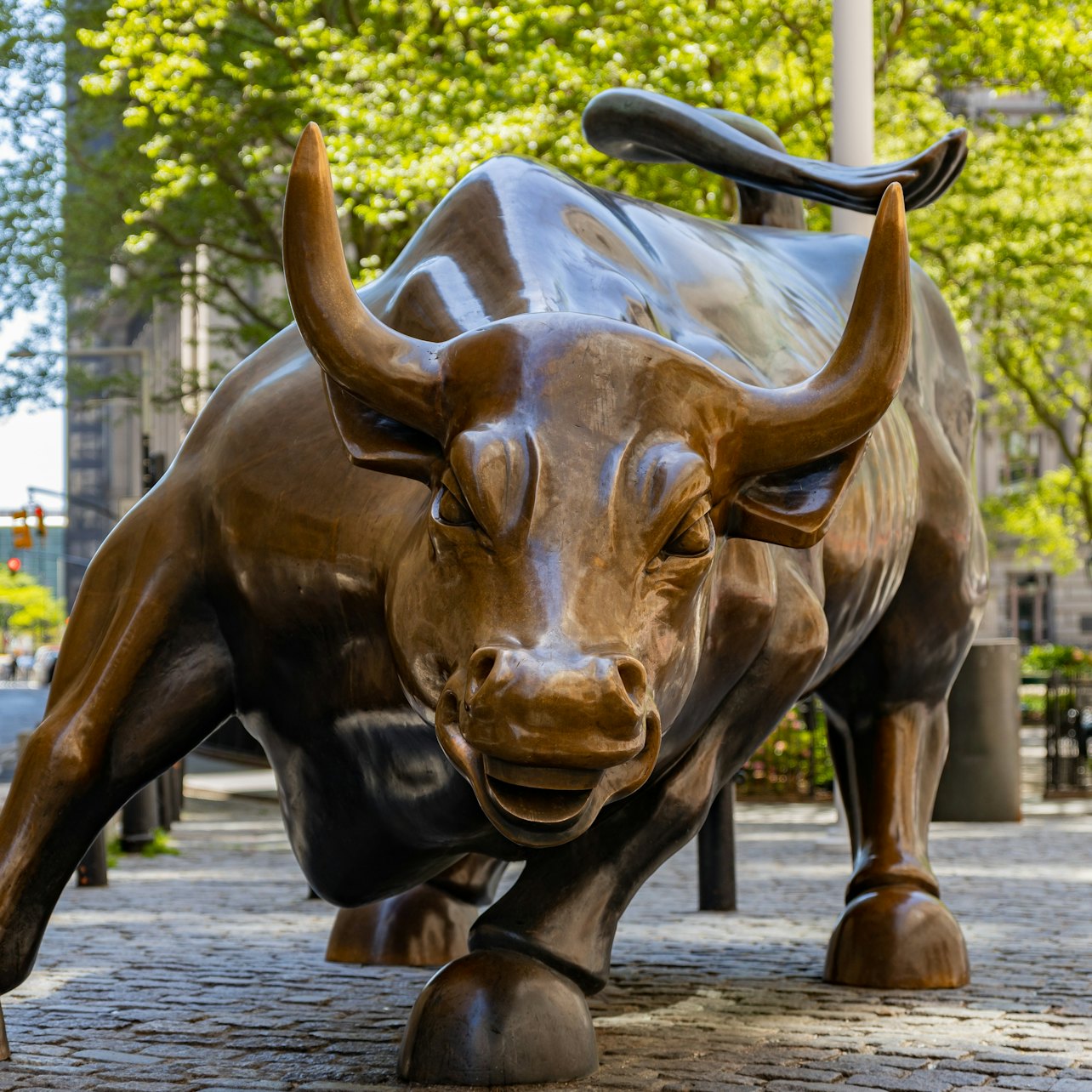 Wall Street: Guided Walking Tour