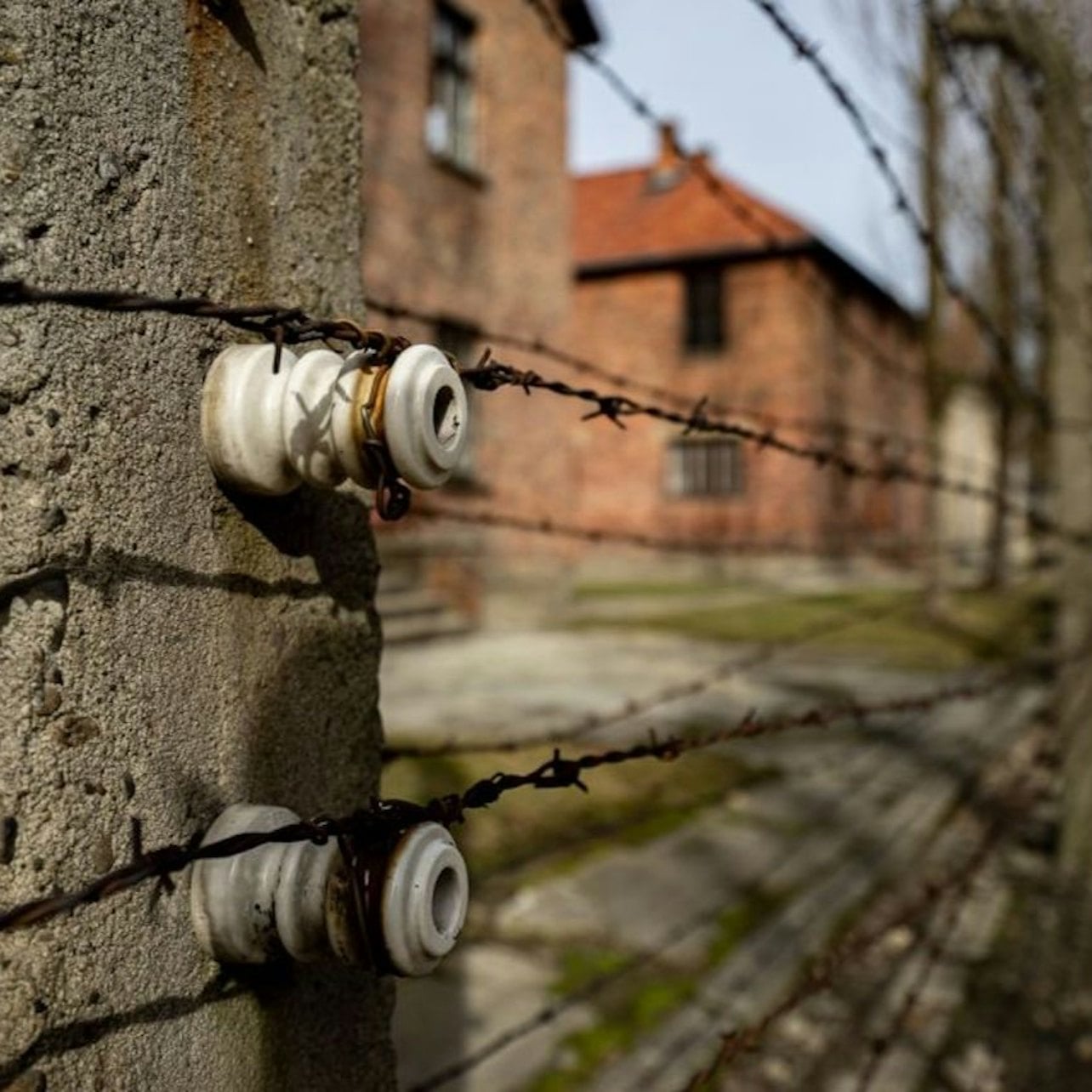 Auschwitz-Birkenau: Guided Tour