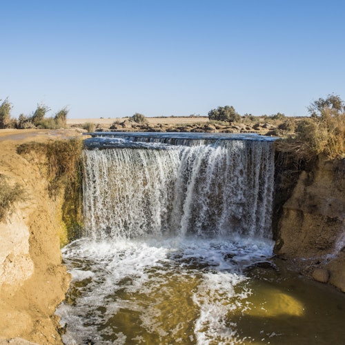 4x4 Desert Safari with Sandboarding & Camel Ride from Cairo or Giza — gallery 3