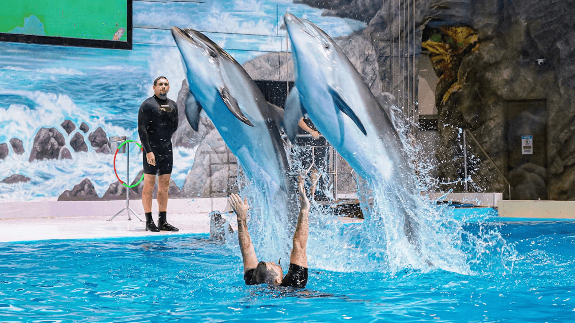 Dubai Dolphinarium: Dolphin and Seal Show — gallery 2