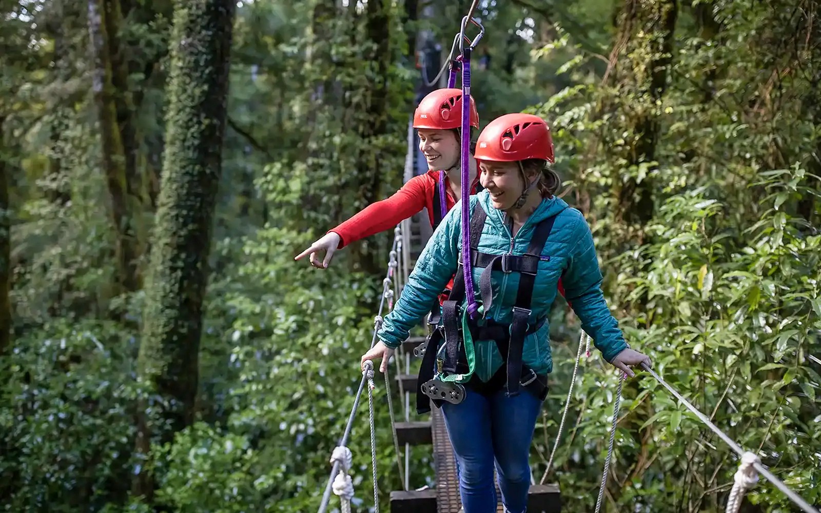 Rotorua Forest Zipline Experience