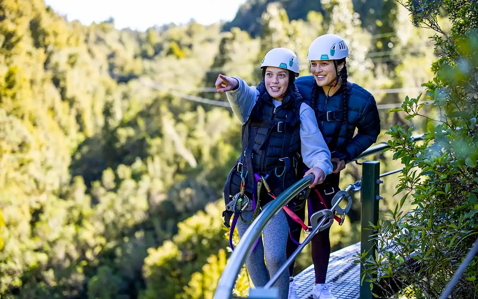Rotorua Forest Zipline Experience
