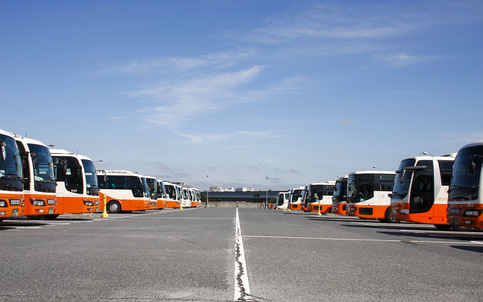 Airport Limousine Bus Transfer: Narita Airport to/from All Neighbourhoods in Tokyo