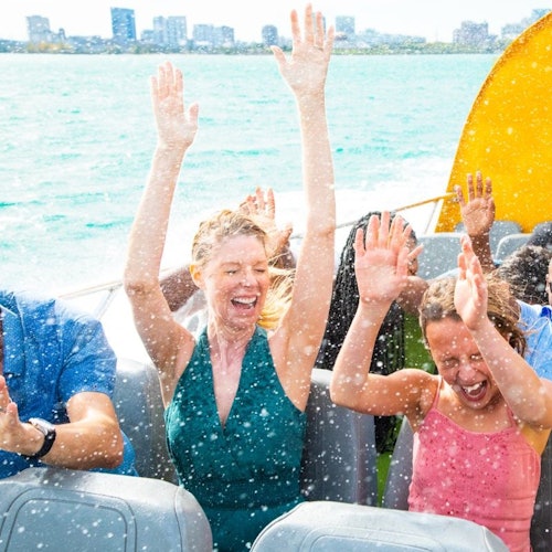 Chicago Seadog: Lakefront Speedboat Tour — gallery 2