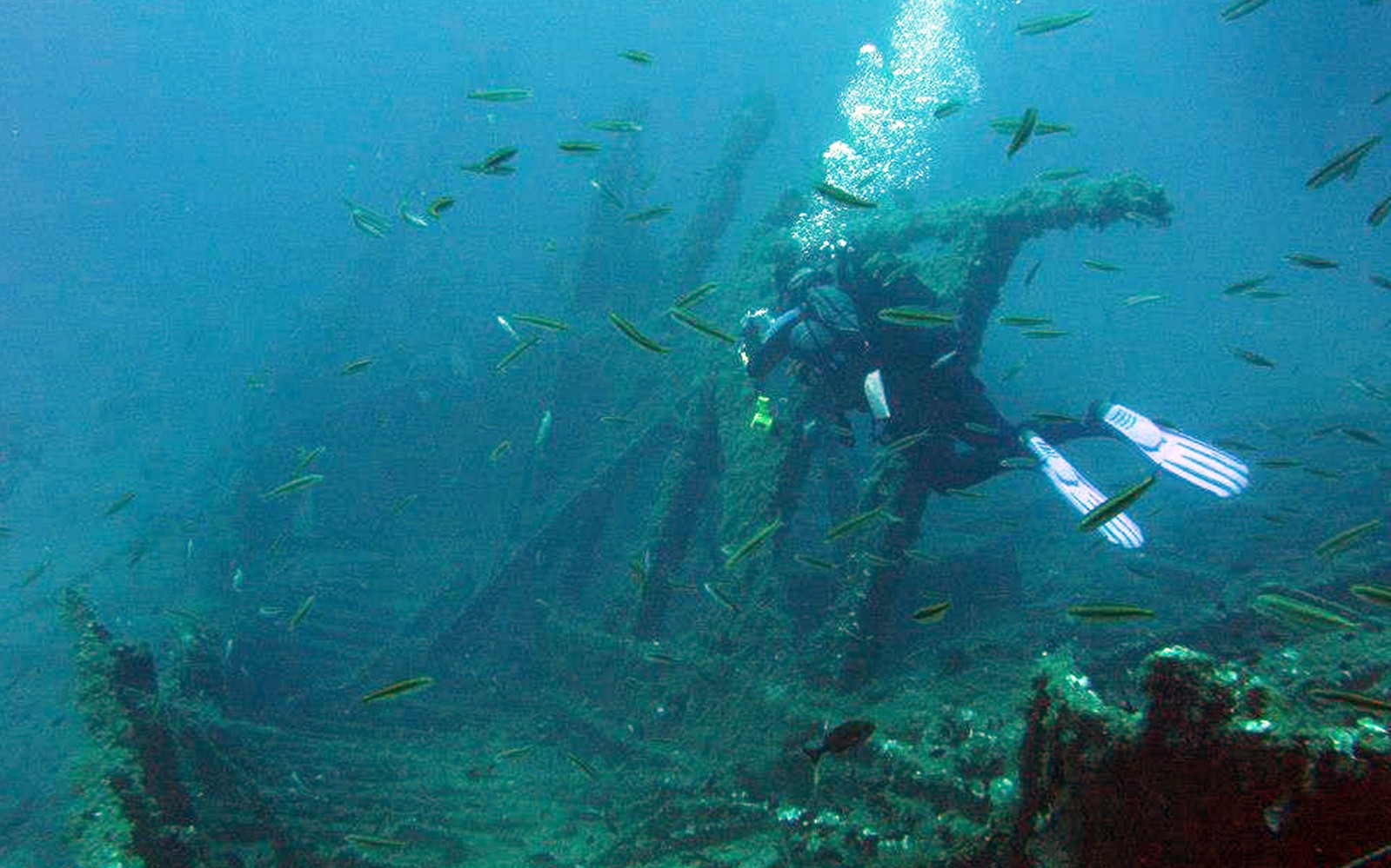 Adventure Dives for certified divers in Nea Makri, Athens — gallery 1