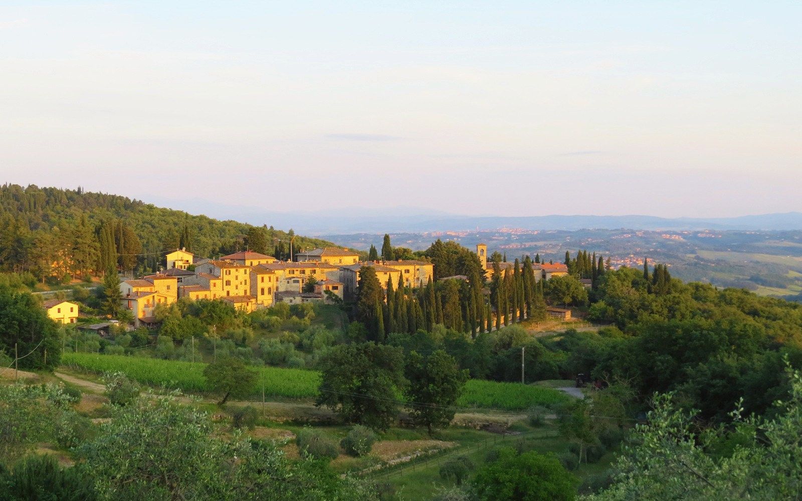 Chianti Classico, Montalcino, Montepulciano: Day Trip From Florence By Minivan