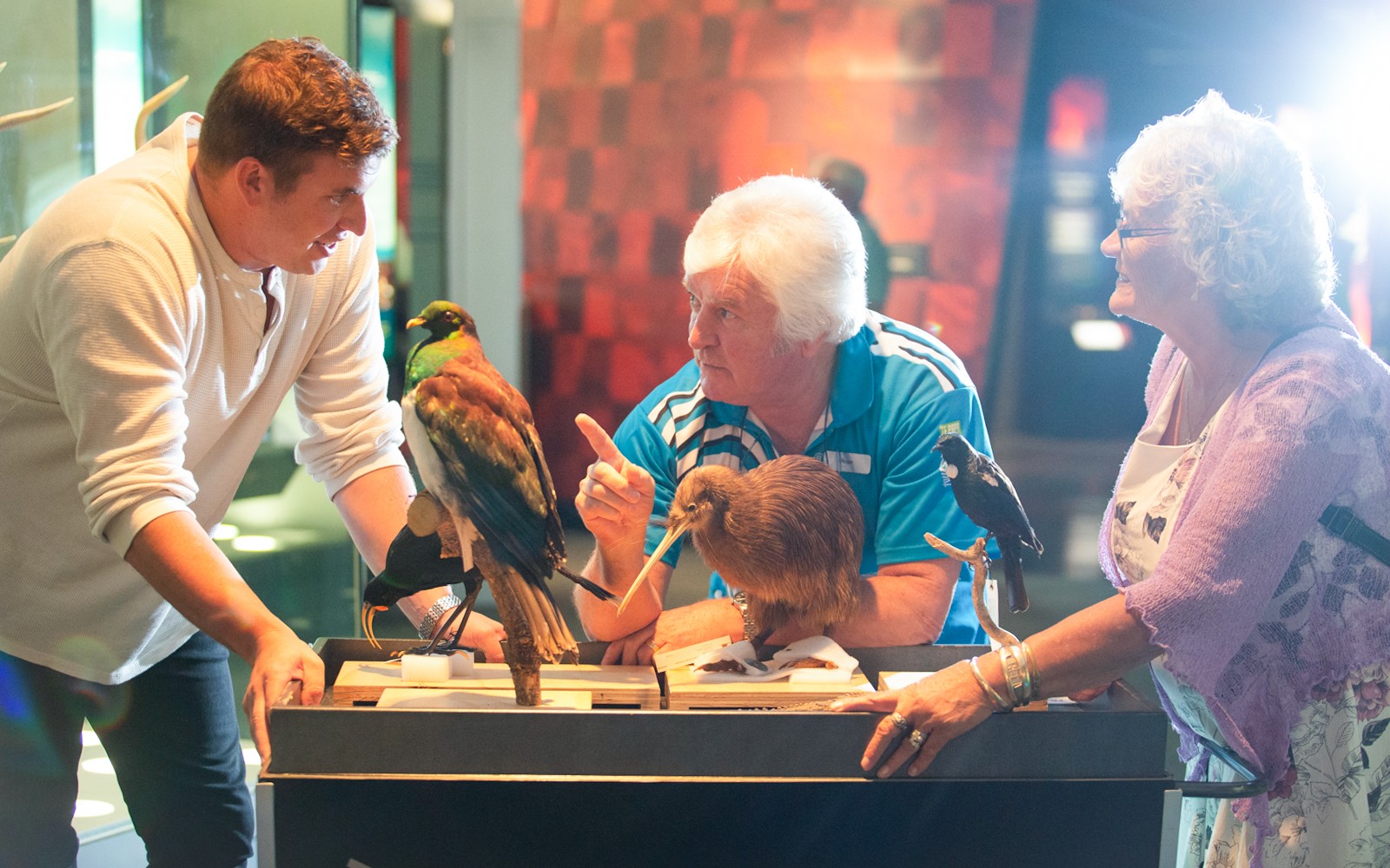 Museum of New Zealand Te Papa Tongarewa Tickets