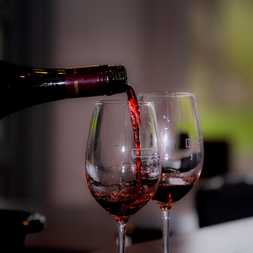 Around the Bay: Day Trip from Melbourne with Food & Wine Tastings — gallery 3