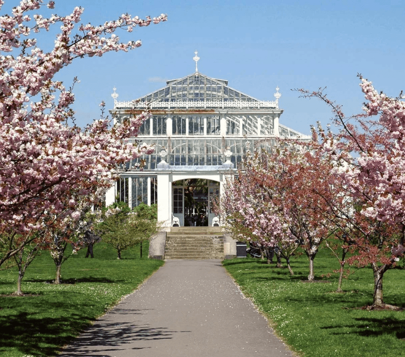 Kew Gardens: Entry Ticket