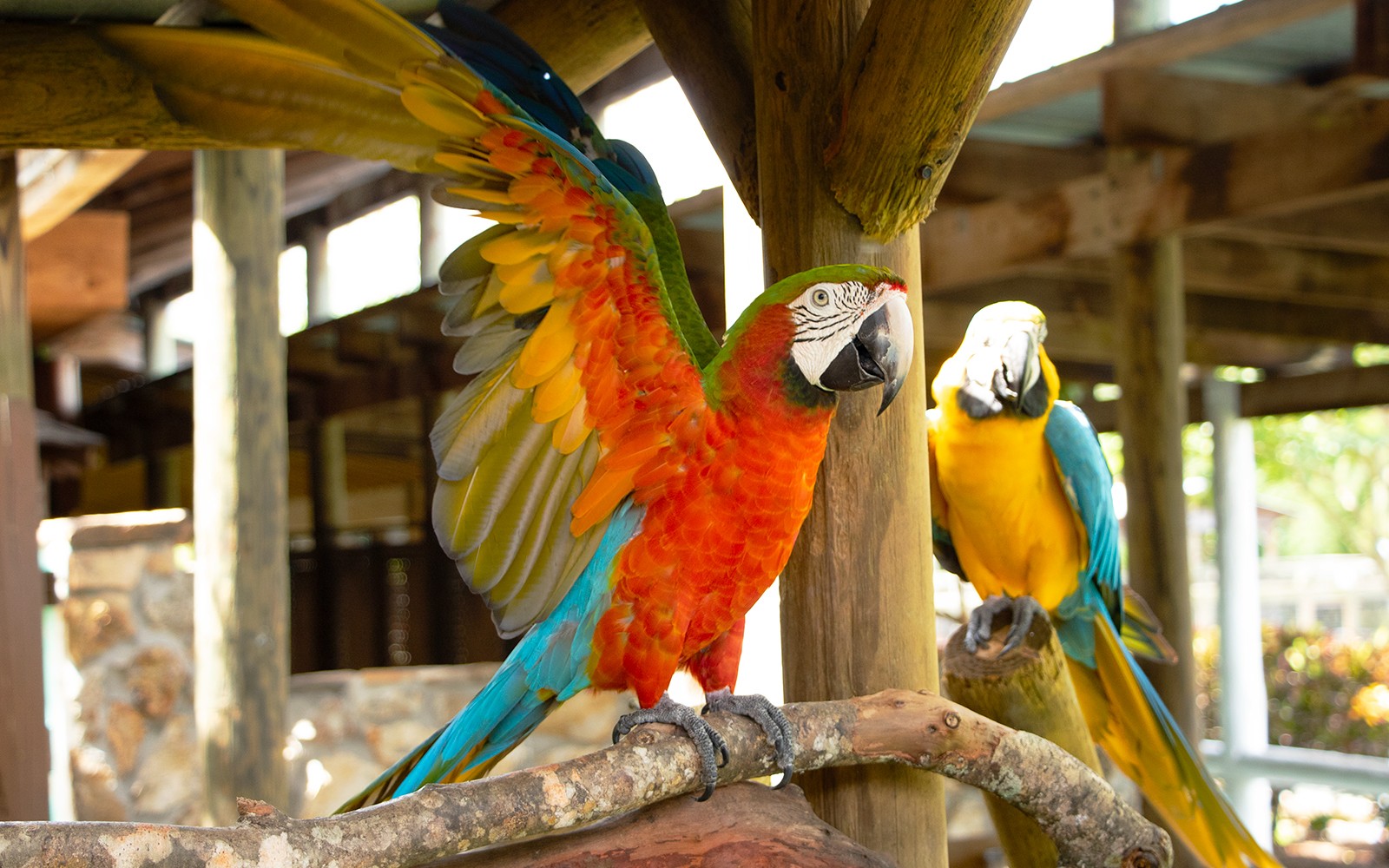 Gatorland Skip-the-Line Tickets — gallery 2