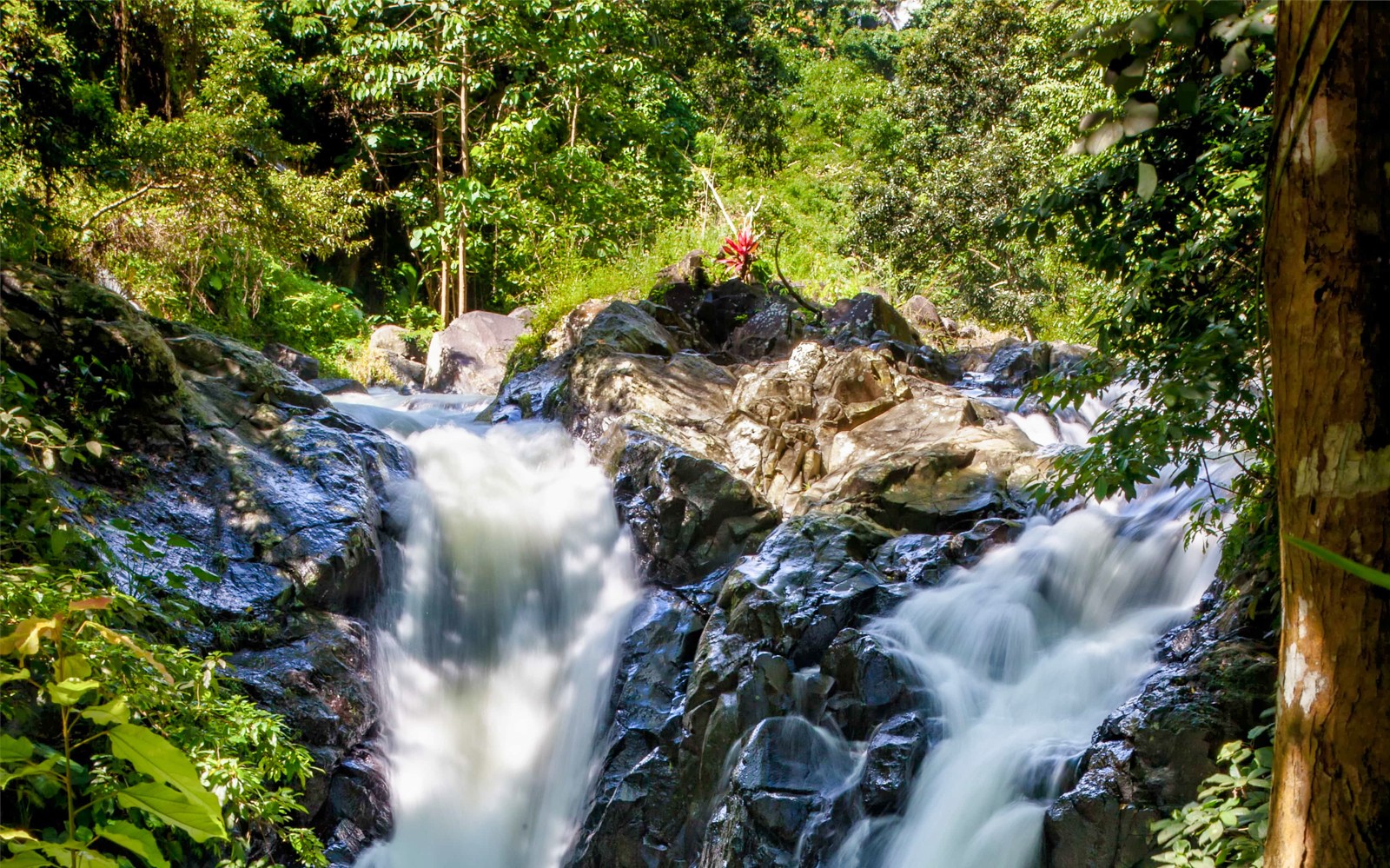 Sekumpul Waterfall & Temple Small-Group Tour: Ulun Danu Bratan, Taman Ayun Temple