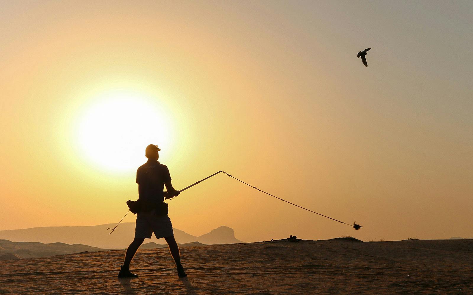 Sunrise Desert Safari with Picnic Breakfast