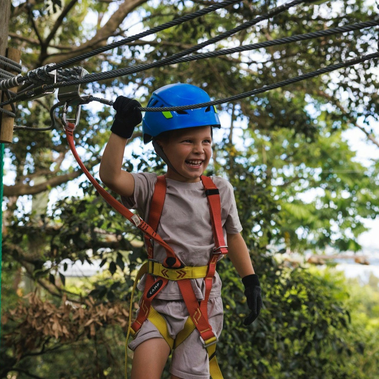 Treetops Adventure Nowra: Junior Ropes Course