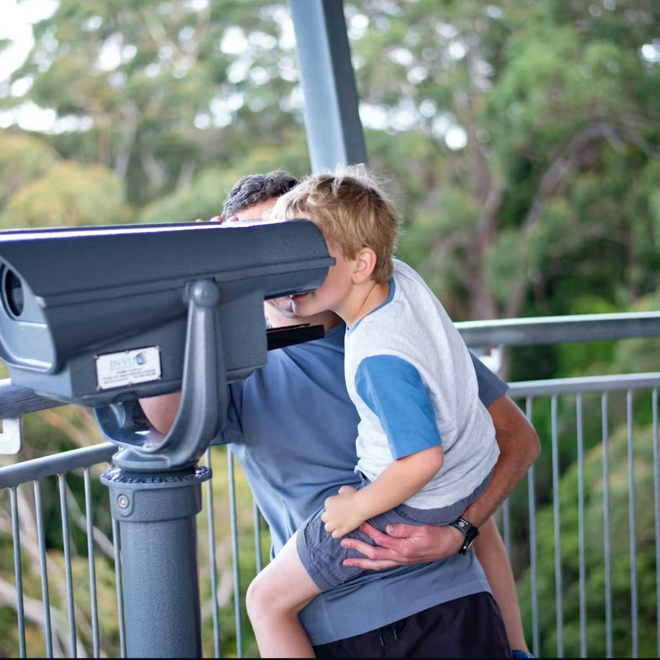Illawarra Fly Treetop Adventures: Treetop Walk