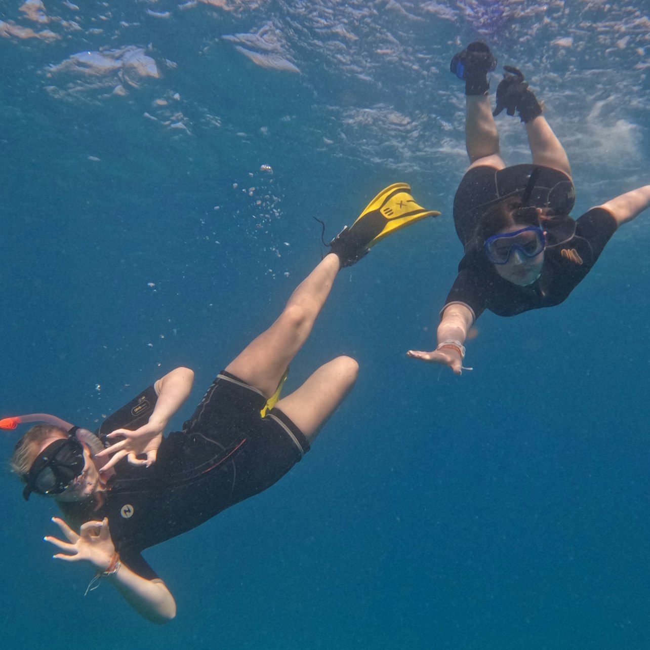 Tenerife: Guided Snorkeling Experience — gallery 1