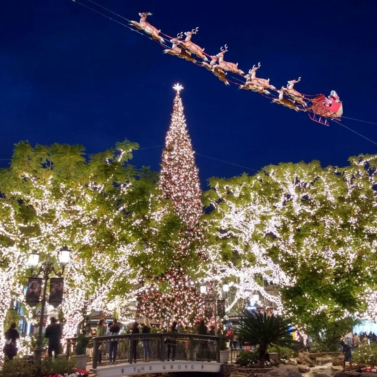 Los Angeles: Holiday Lights & Rodeo Drive Walking Tour