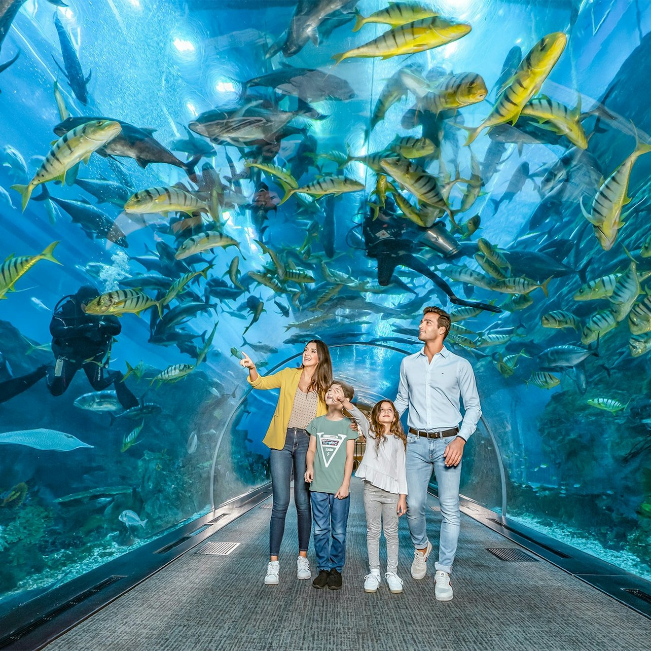 Dubai: Audio Guide App