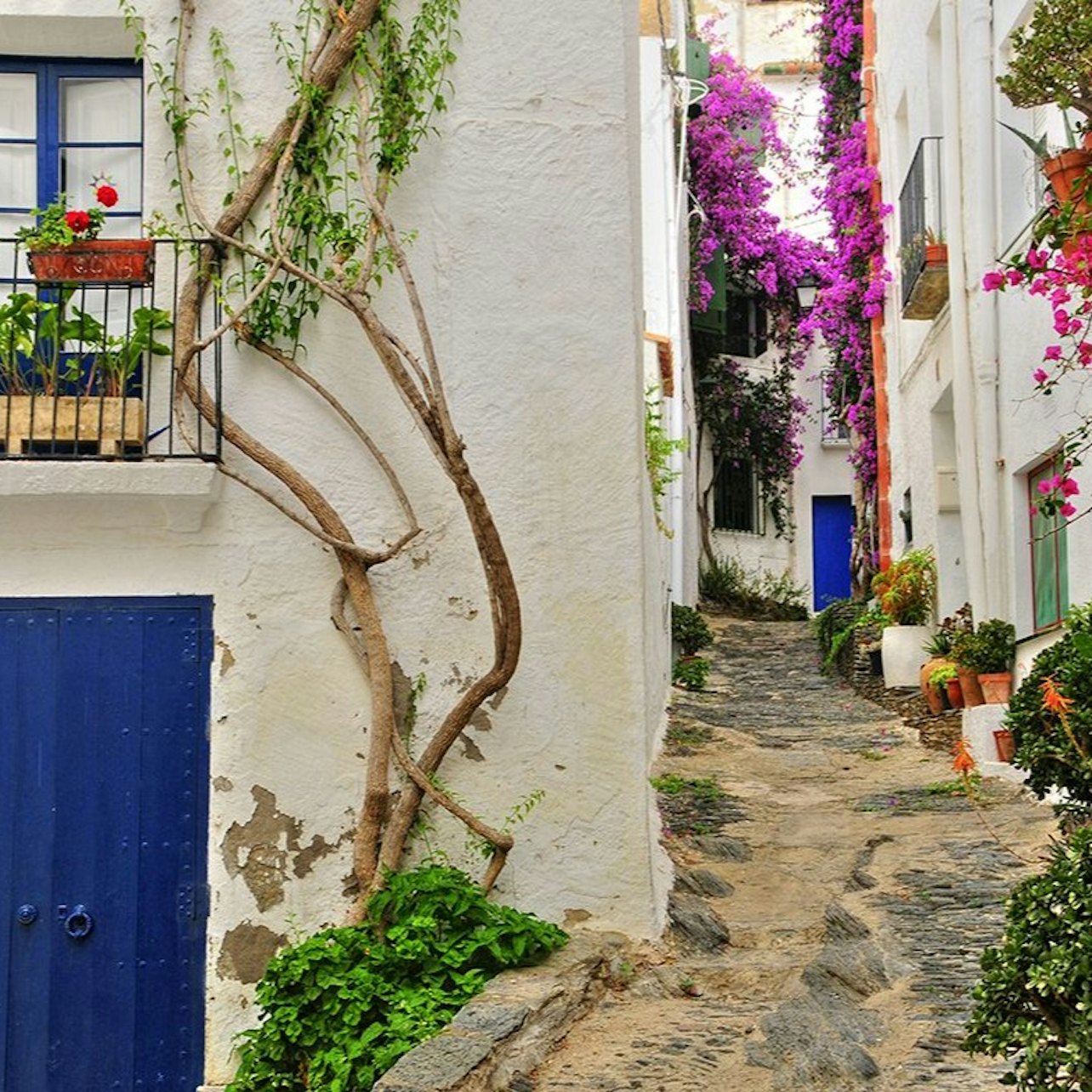 Cadaqués: Boat Tour from Roses