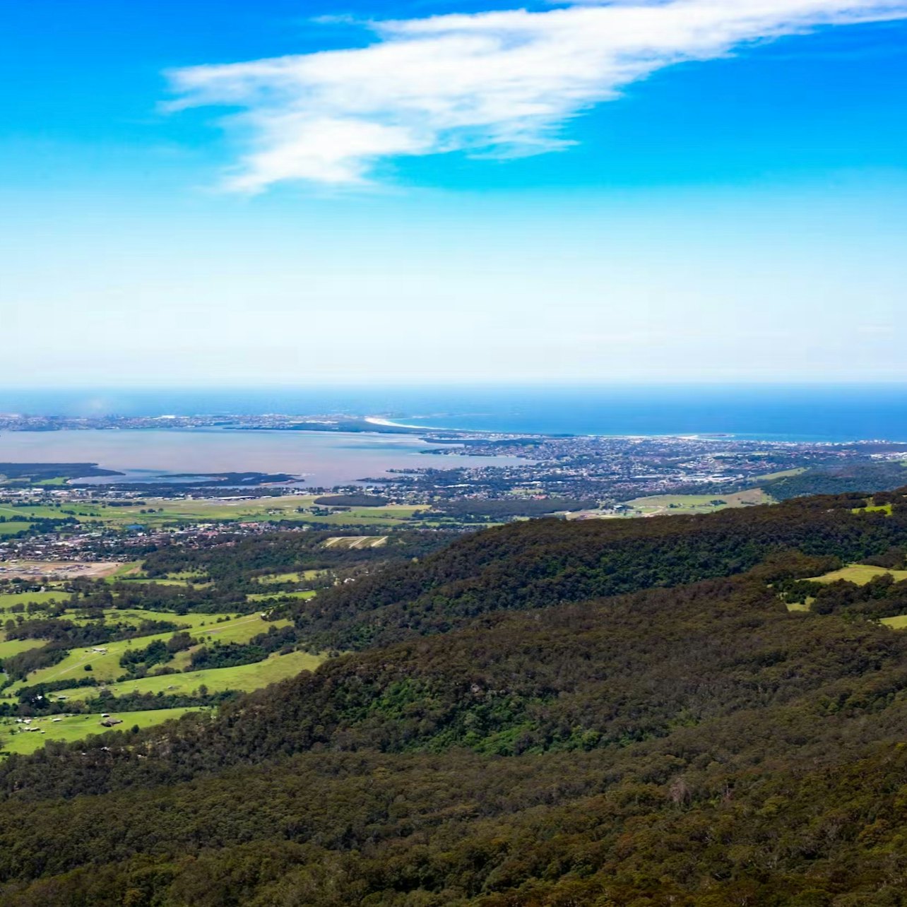 Illawarra Fly Treetop Adventures: Treetop Walk