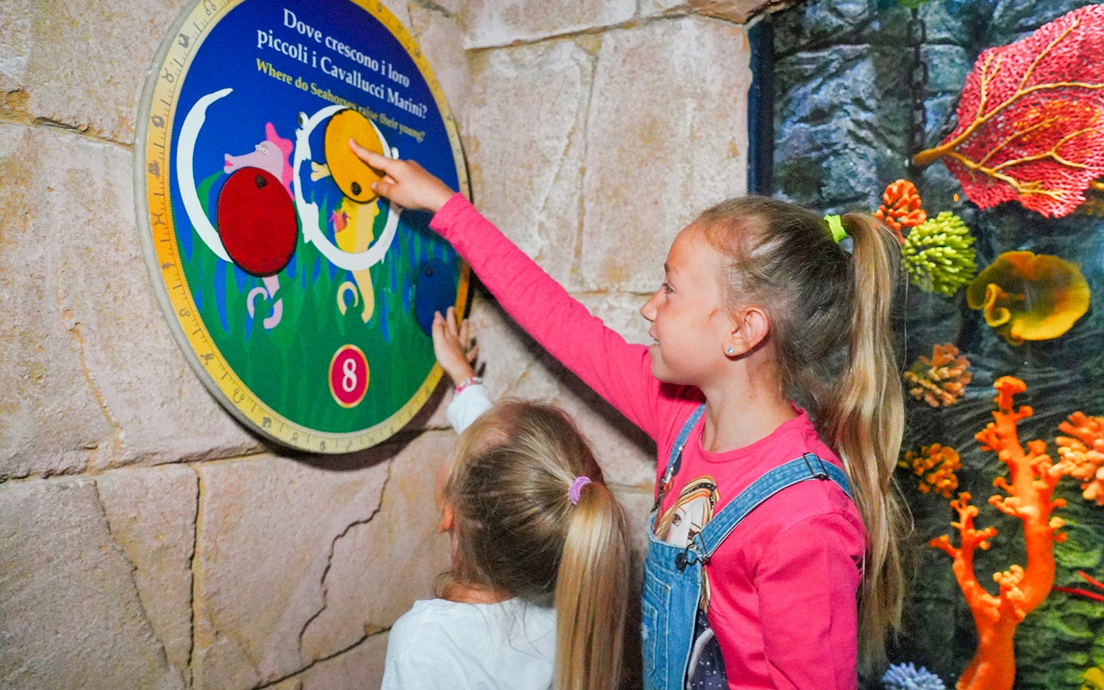 Gardaland Sea Life Aquarium Entry Tickets — gallery 4