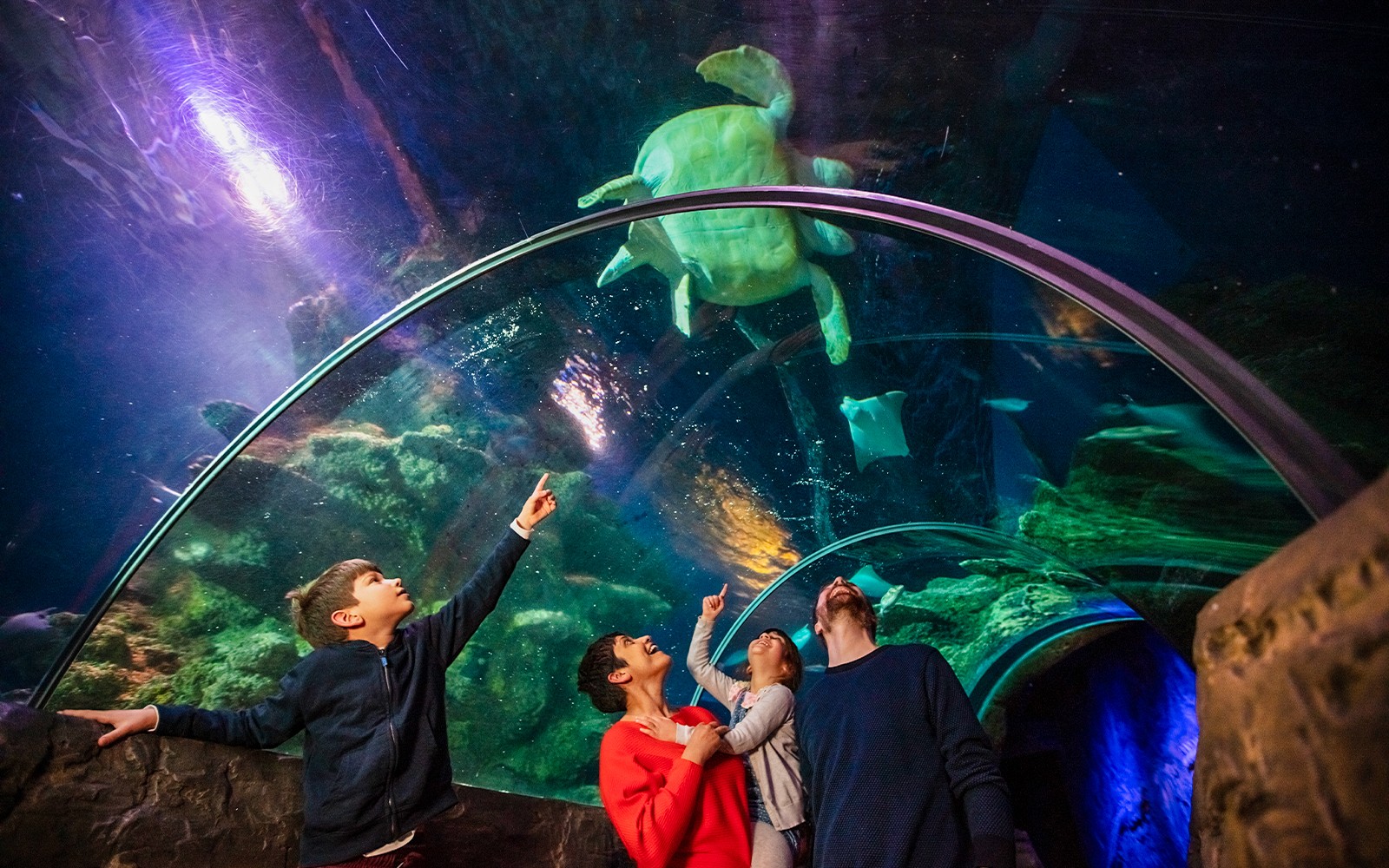 SEA LIFE London Aquarium: Anytime Entry Tickets — main image