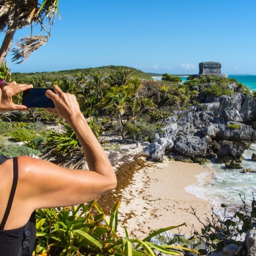 Tulum: Snorkeling With Turtles in Akumal + Transport — gallery 3