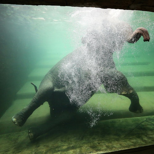 Leipzig Zoo + Travel Card "Leipzig (Zone 110)" — gallery 5