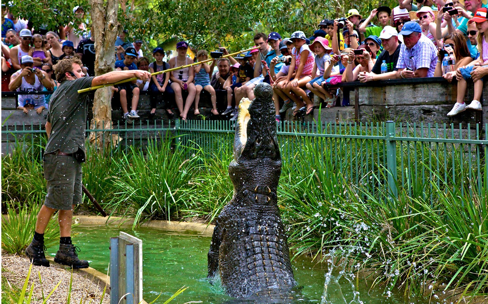 Australian Reptile Park Ticket