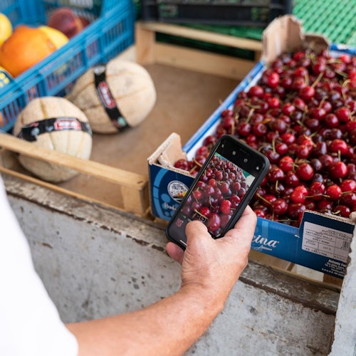 Sorrento: Private Cooking Class + Guided Market Tour — gallery 1