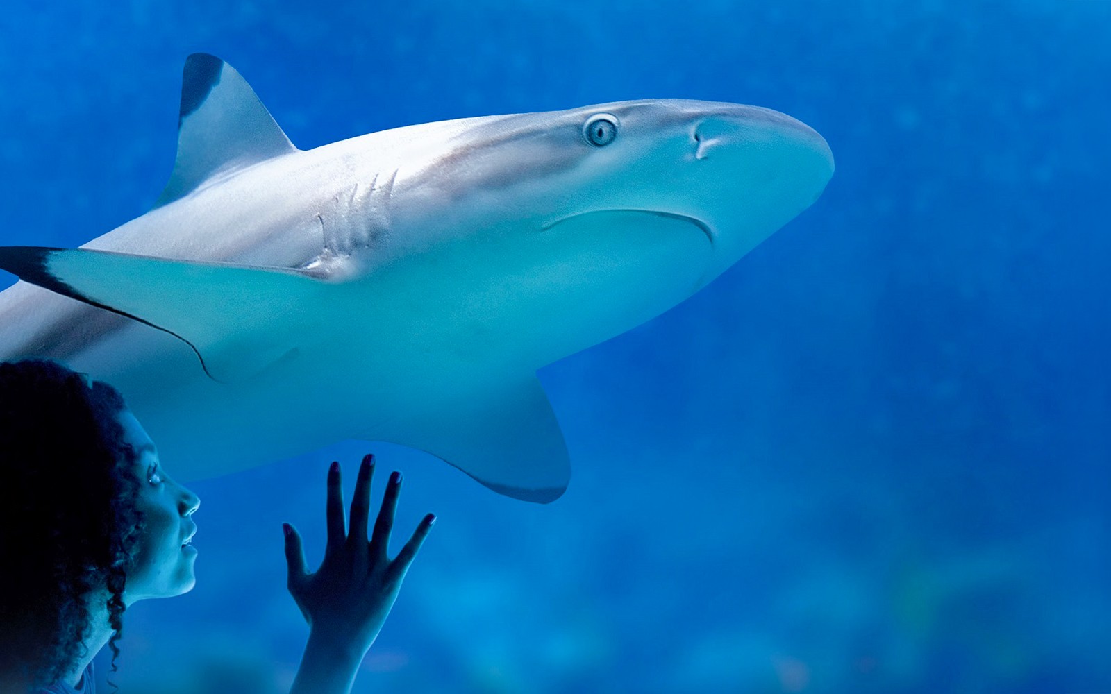 SEA LIFE Munich Ticket — gallery 2