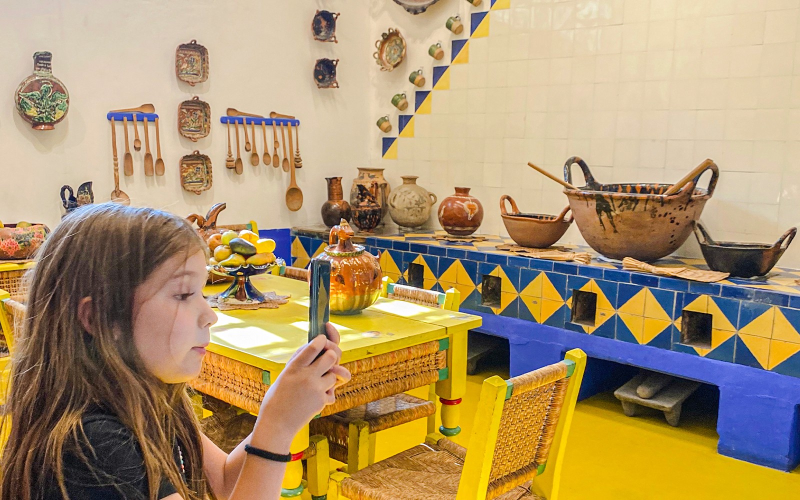 Frida Kahlo & Anahuacalli Museum Skip-the-Line Tickets