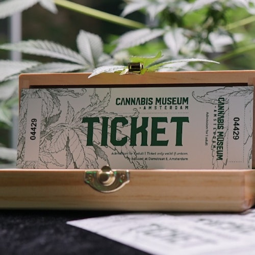 Cannabis Museum Amsterdam: Entry Ticket + Audio Guide — gallery 3