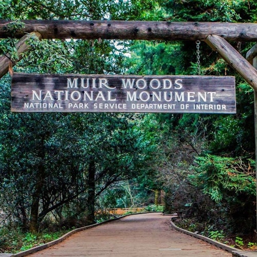 San Francisco City Tour + Muir Woods — gallery 4