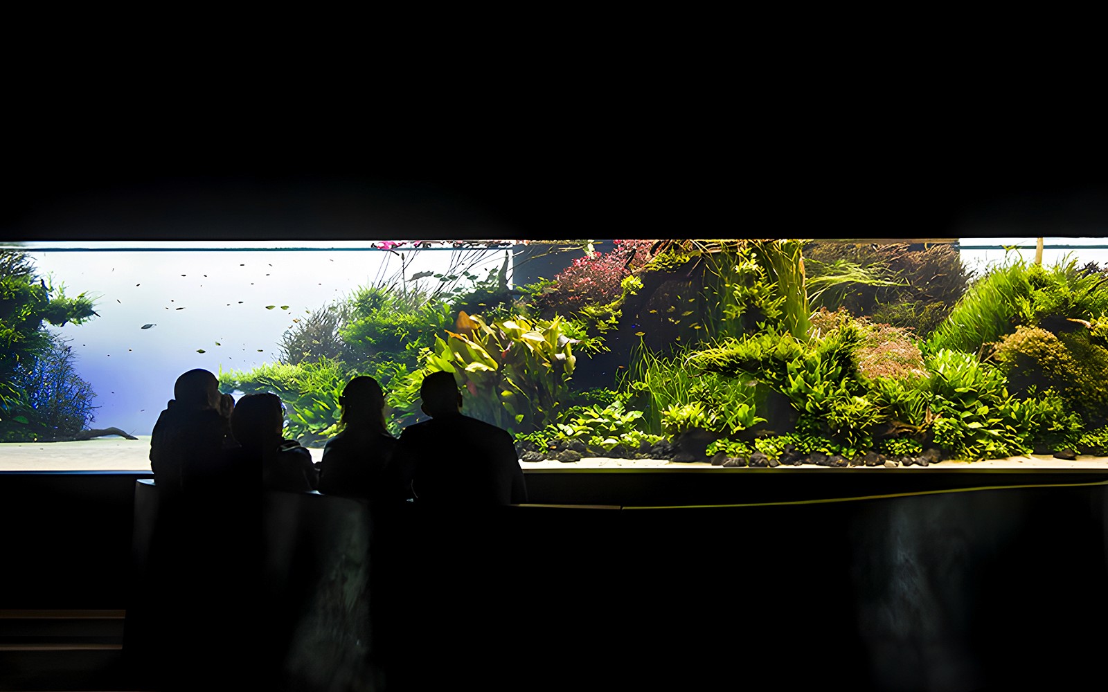 Oceanário de Lisboa Tickets
