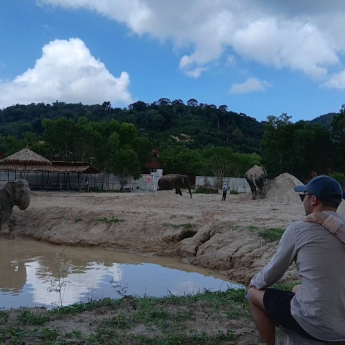Freedom Elephant Reserve Phuket: Guided Tour + Roundtrip Transport — gallery 3
