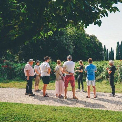 Amarone Wine-Tasting Tour from Verona — gallery 3