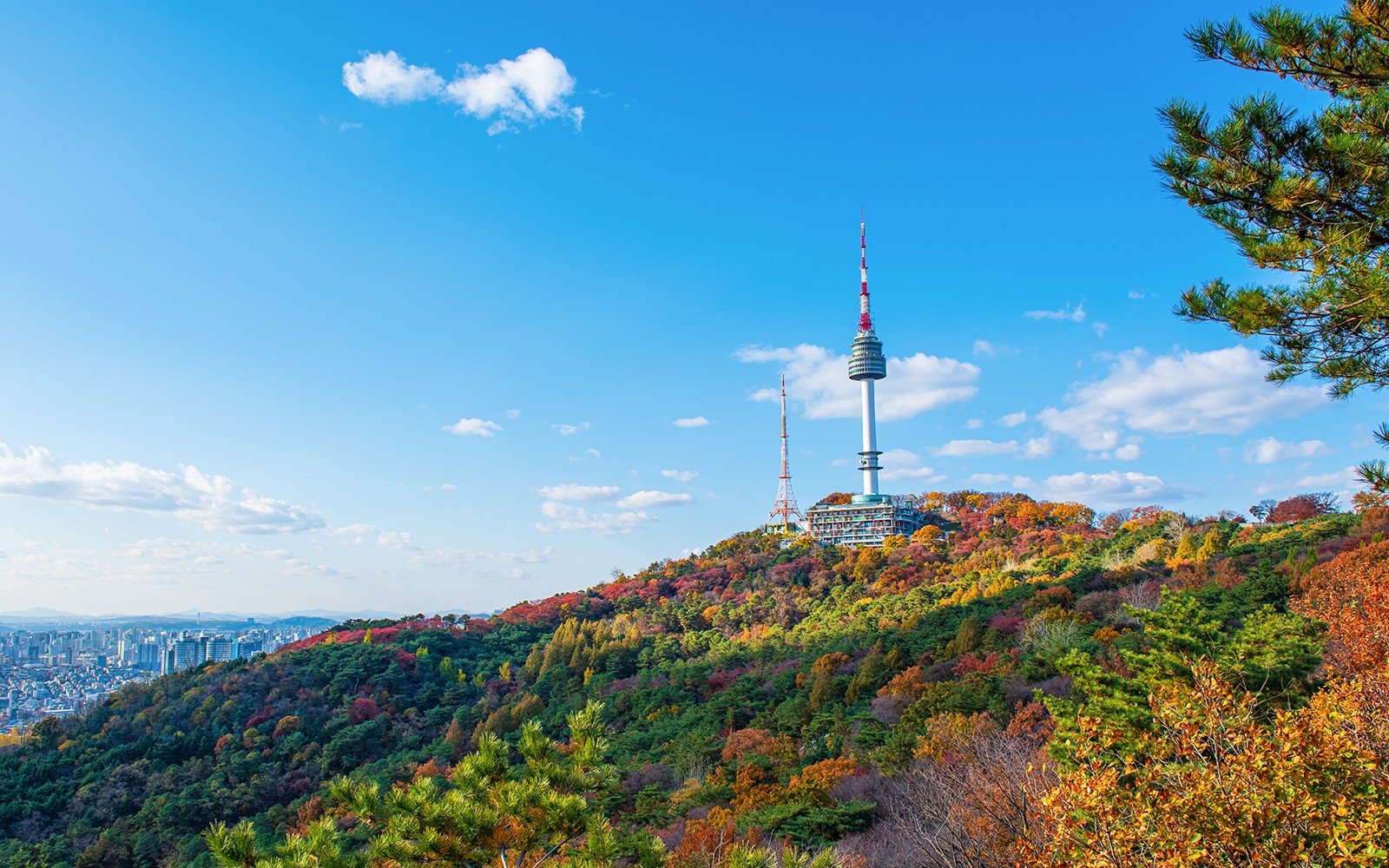 Tickets to N Seoul Tower Observatory