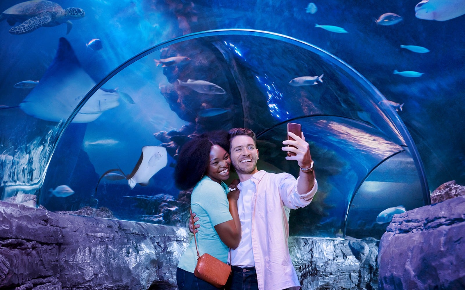 Combo: Madame Tussauds + SEA LIFE London Aquarium Tickets — mobile